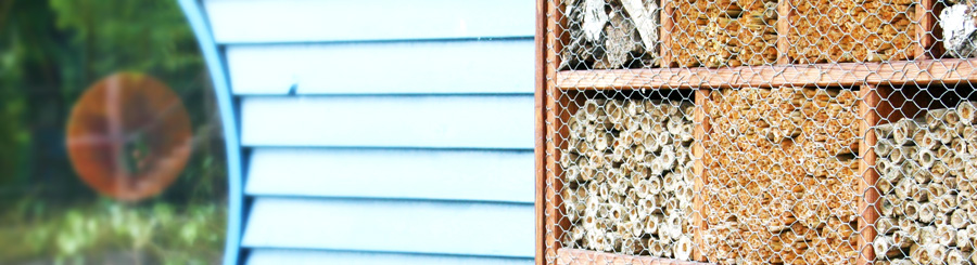 Willkommen im TrinitatiskinderHaus